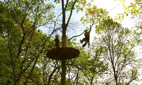 Une personne vole entre les cimes des arbres