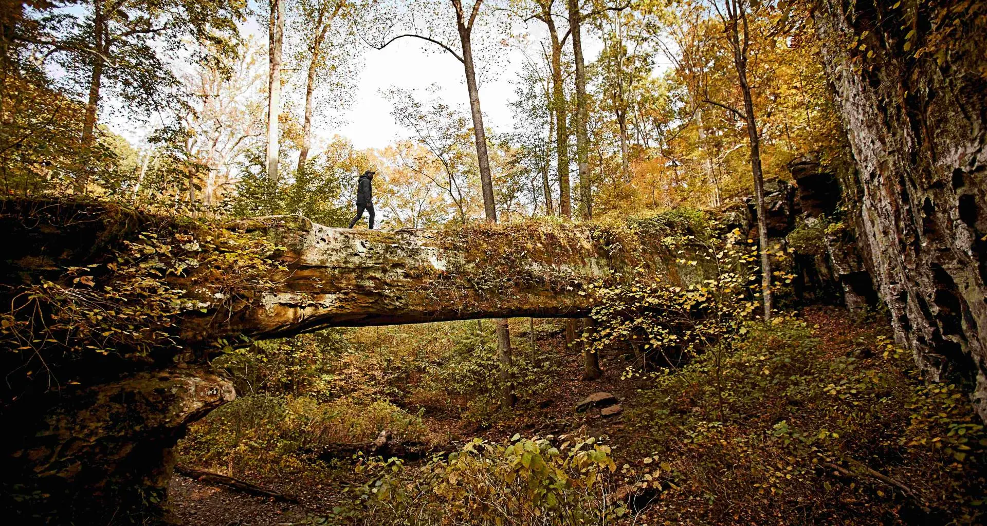 Une personne marchant le long du pont naturel de Pomona dans la forêt nationale de Shawnee.