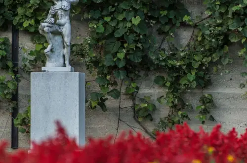 Jardins du parc Allerton