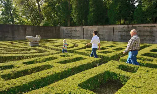 Personnes marchant dans un jardin labyrinthe