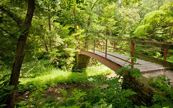 Une promenade à Starved Rock entourée de forêt