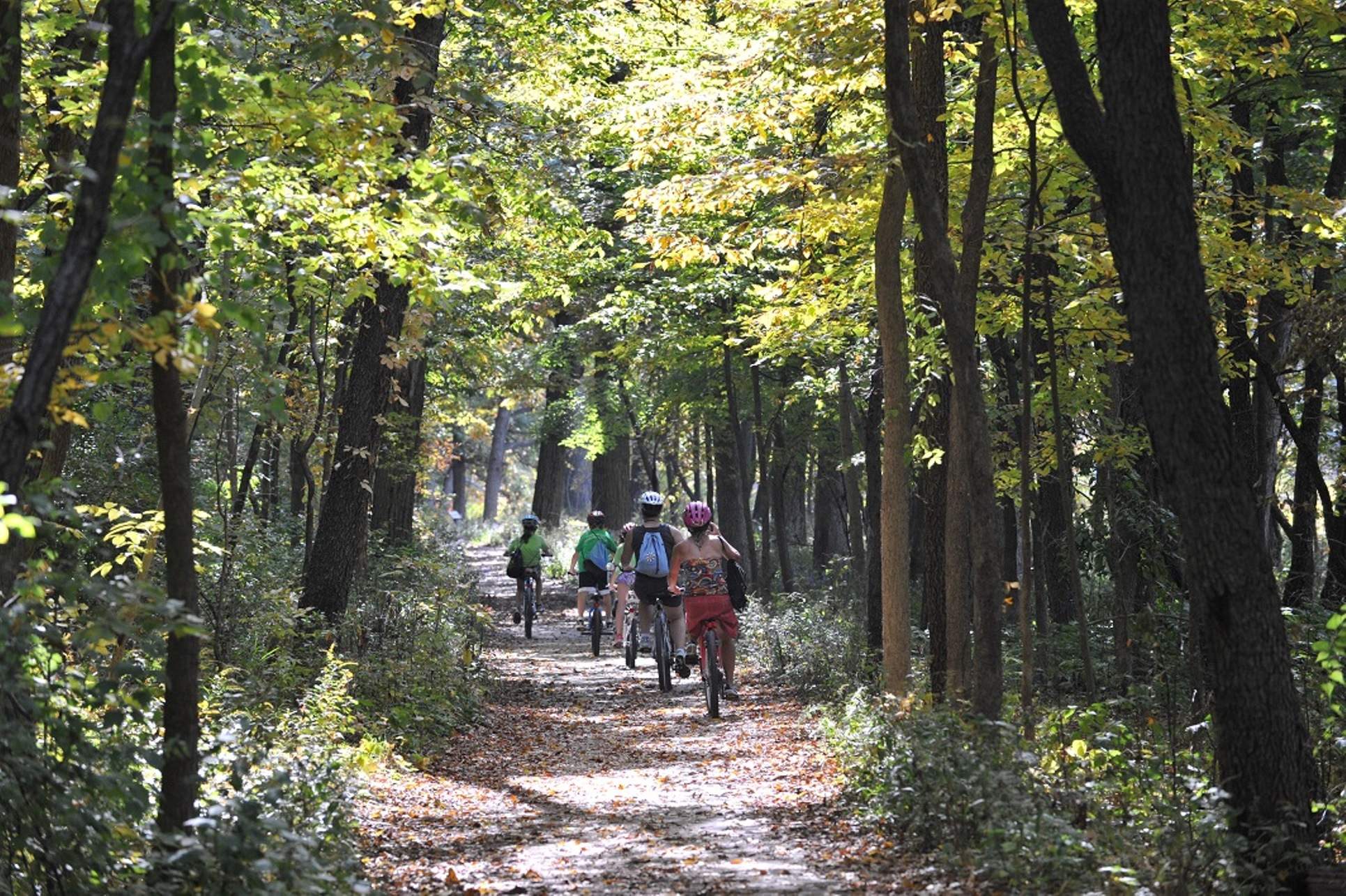 Un groupe de personnes circulant à vélo le long du Fox River Trail, au milieu des arbres de la forêt.