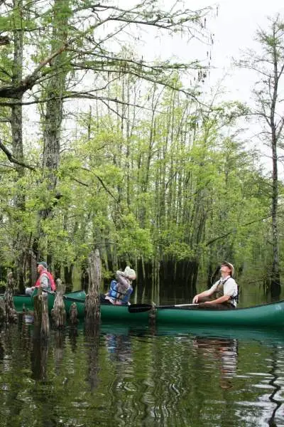 Personnes sur un bateau pagayant à travers l'eau et les arbres