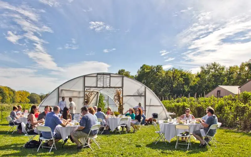 Personnes mangeant à l'extérieur à des tables à Epiphany Farms