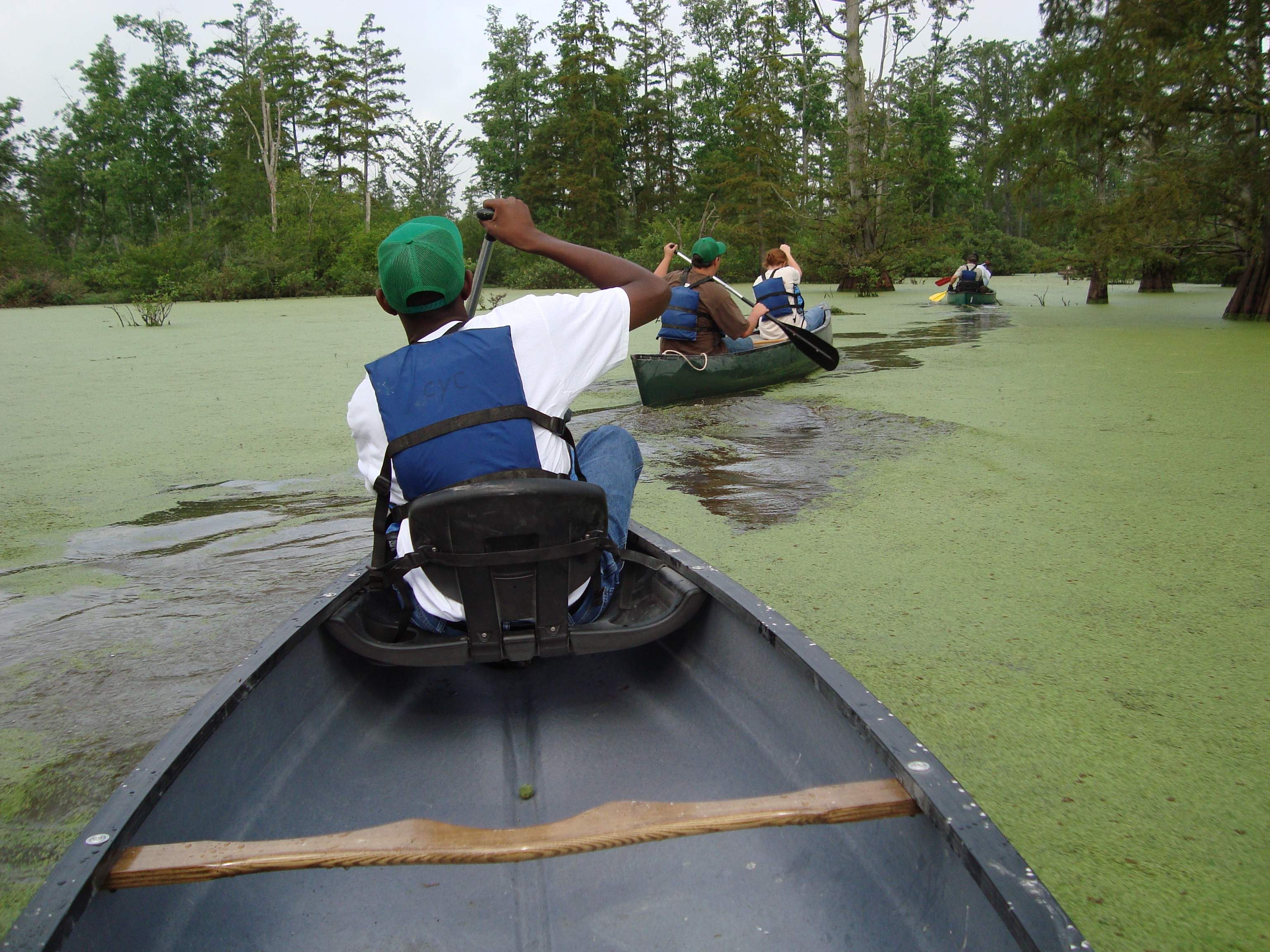 Trois canoës traversent l'eau dans les zones humides de la rivière Cache.
