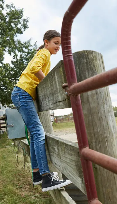 Enfants regardant un cheval par-dessus la clôture