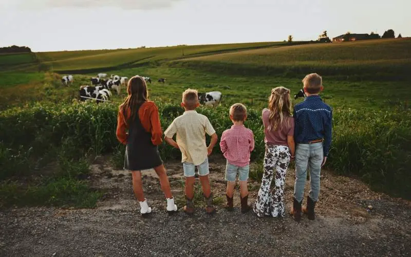 Enfants observant les vaches dans un enclos d'une ferme laitière