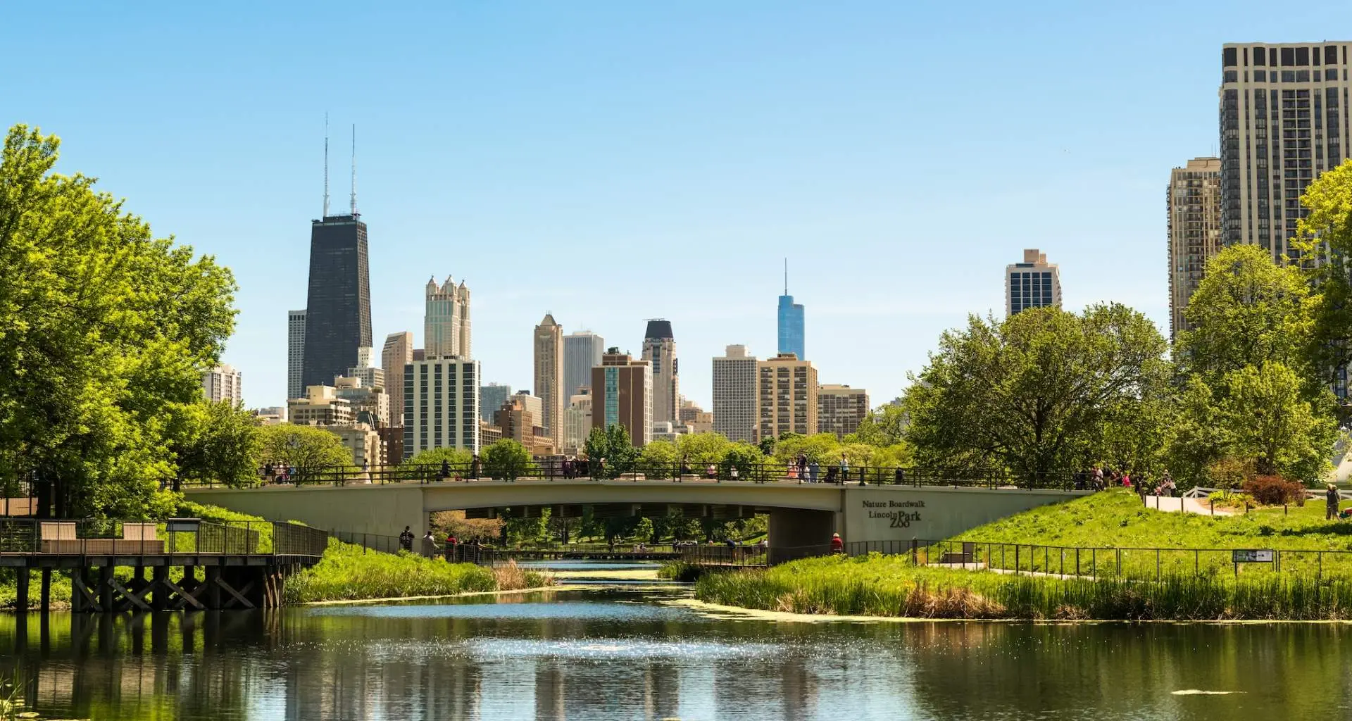 Terrain vert et arbres avec un pont et des bâtiments urbains derrière eux
