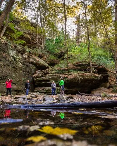 Personnes prenant des photos au parc d'État de Ferne Clyffe