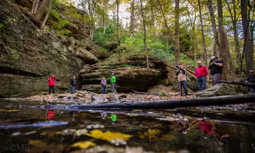Personnes prenant des photos au parc d'État de Ferne Clyffe