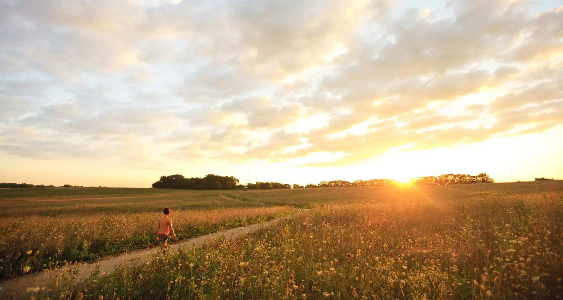 Personne effectuant une randonnée dans la prairie d'herbes hautes de Midewin au coucher du soleil.