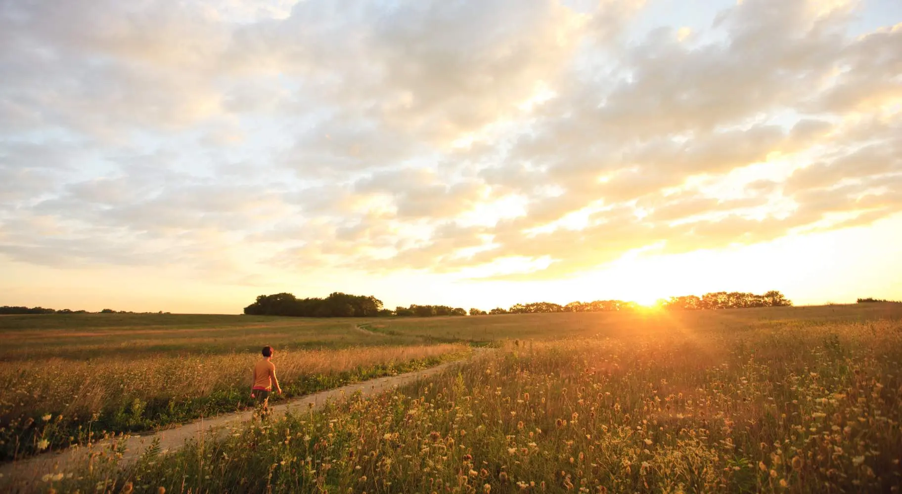 Personne se promenant dans la prairie d'herbes hautes de Midewin au coucher du soleil