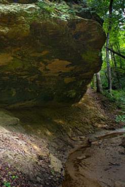 Une grotte rocheuse dans la forêt