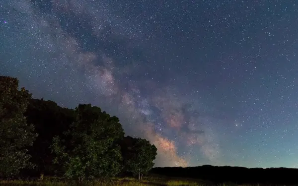 Étoiles nocturnes au-dessus des arbres
