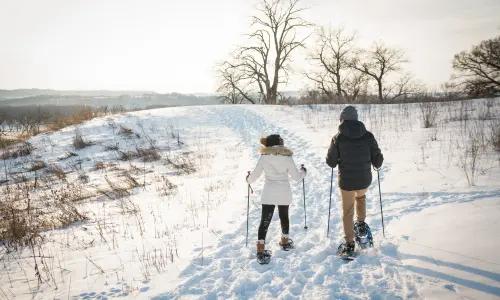 Personnes faisant du ski de fond