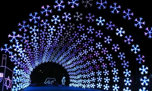 Un spectacle de lumière pour les fêtes de fin d'année.