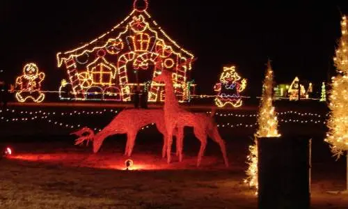rennes et autres jeux de lumière festifs