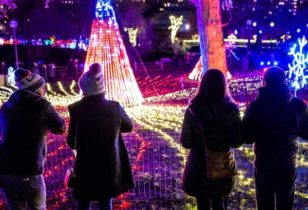 Des gens regardent les jeux de lumière au zoo de Lincoln Park