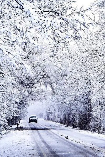 Voiture roulant sur une route avec des arbres enneigés de part et d'autre