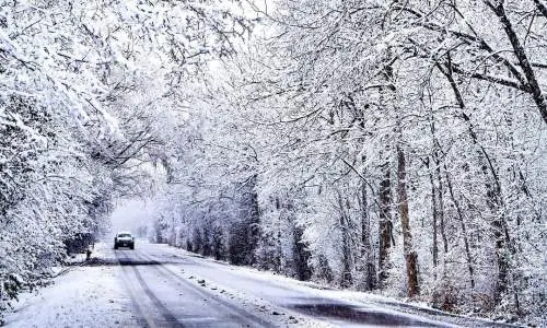 Voiture roulant sur une route avec des arbres enneigés de part et d'autre
