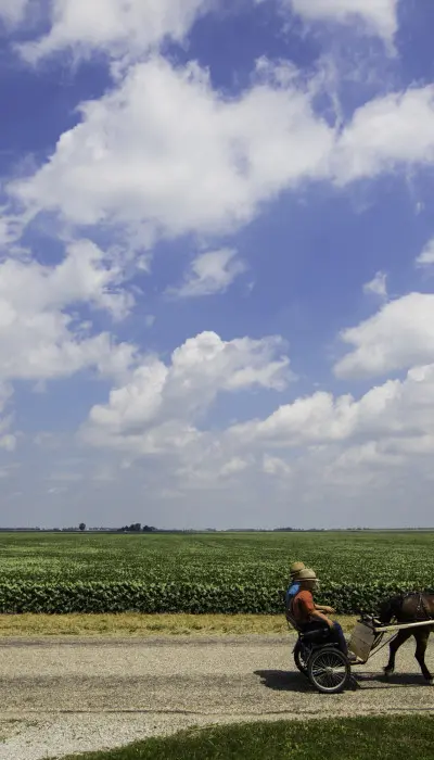 Hommes en calèche dans un champ.