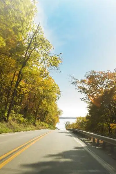 Une route entourée de feuillages d'automne