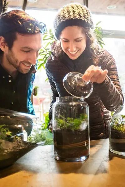 Un couple regarde des terrariums plantés chez Sprout Home à Chicago