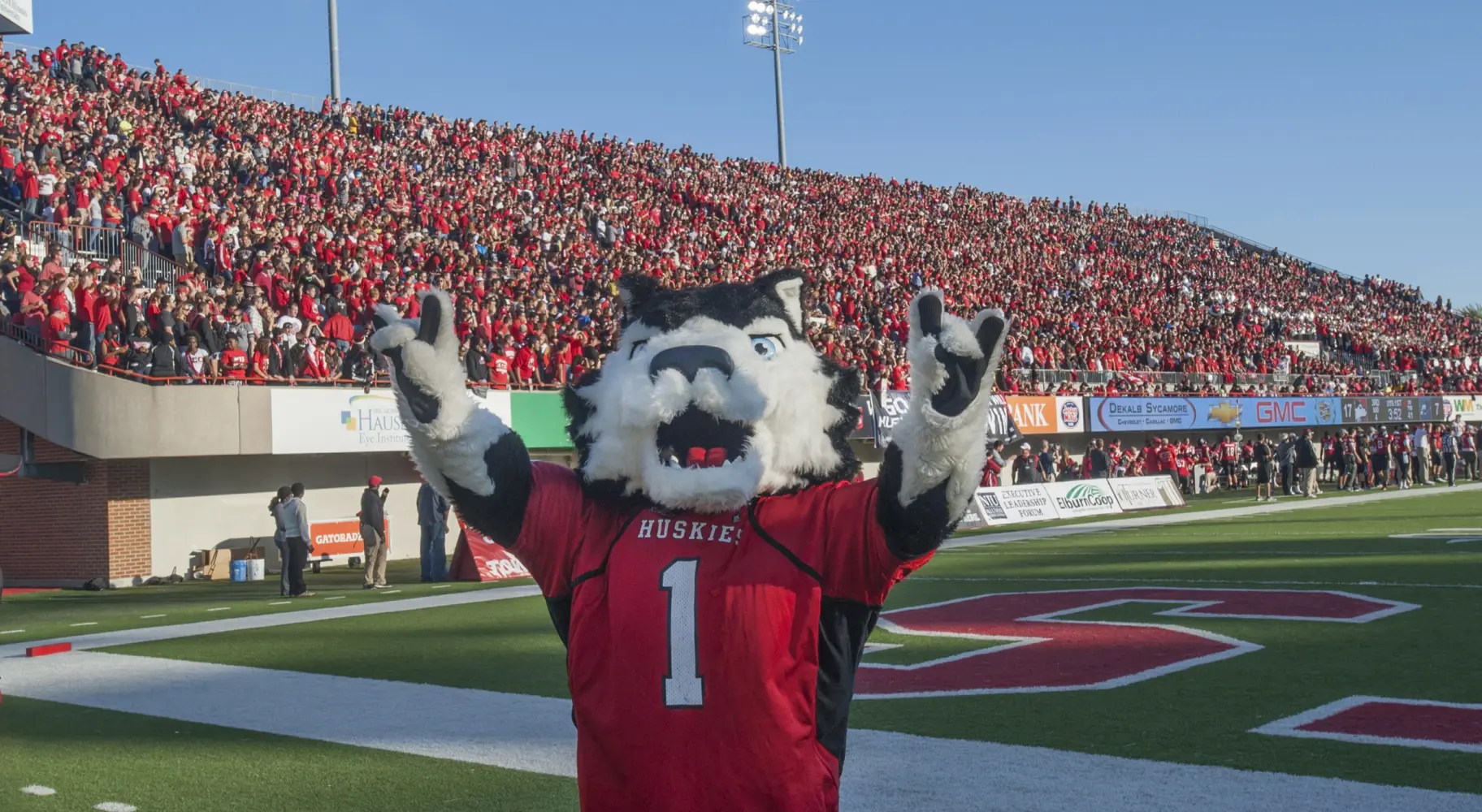 Le chien mascotte des Huskies de l'Université de l'Illinois du Nord, lors d'un match de football très fréquenté.