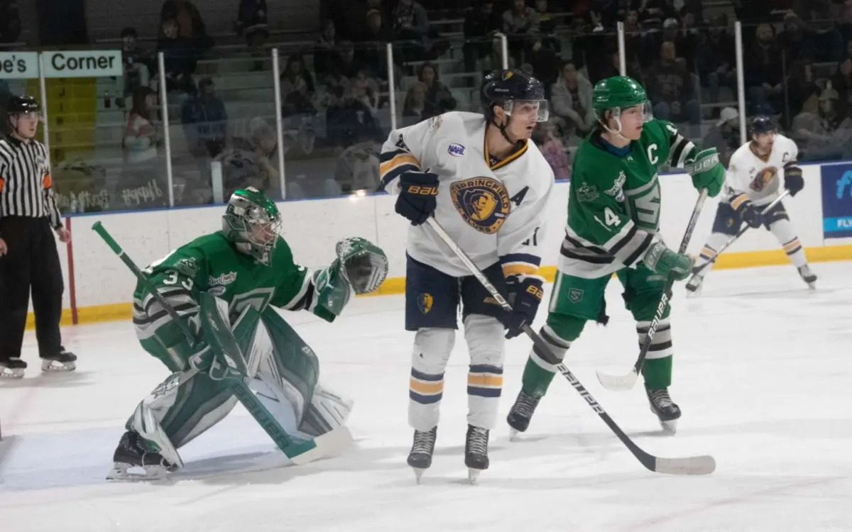 Saison de hockey des Springfield Jr Blues